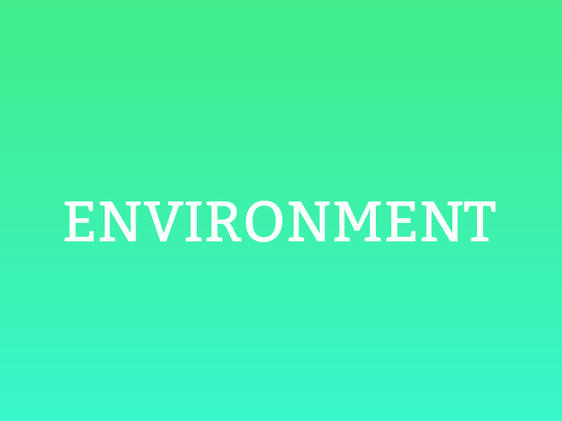 Environment